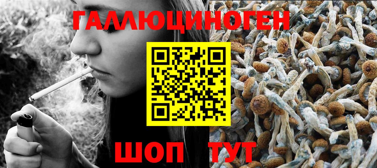 Псилоцибиновые грибы Psilocybine cubensis Грязи