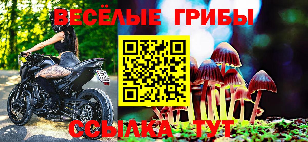 Галлюциногенные грибы мухоморы  где купить наркотик  Вход с VPN  Грязи  Псилоцибиновые грибы GOLDEN TEACHER 